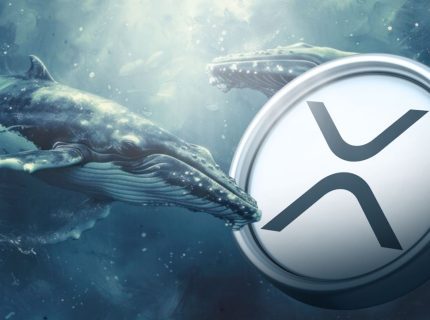 ریپل XRP بالاتر از خط روند؛ انباشت نهنگ ها قیمت را به 3 دلار میرساند؟ (3 اردیبهشت 1404)